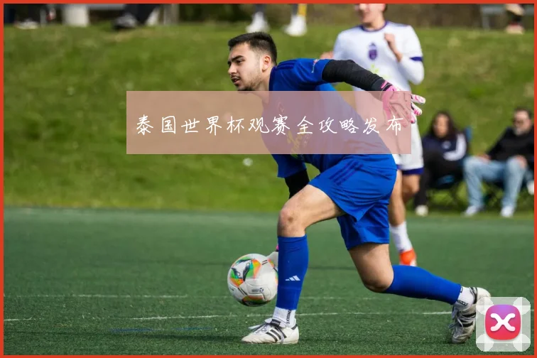 泰国世界杯观赛全攻略发布