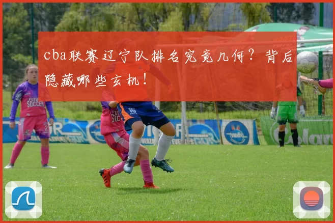 cba联赛辽宁队排名究竟几何?背后隐藏哪些玄机!