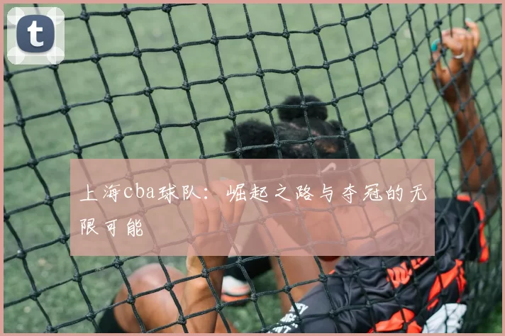 上海cba球队：崛起之路与夺冠的无限可能