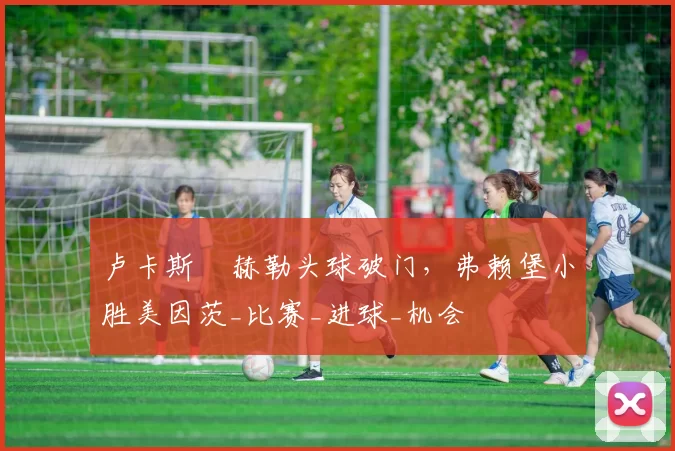 卢卡斯・赫勒头球破门，弗赖堡小胜美因茨_比赛_进球_机会